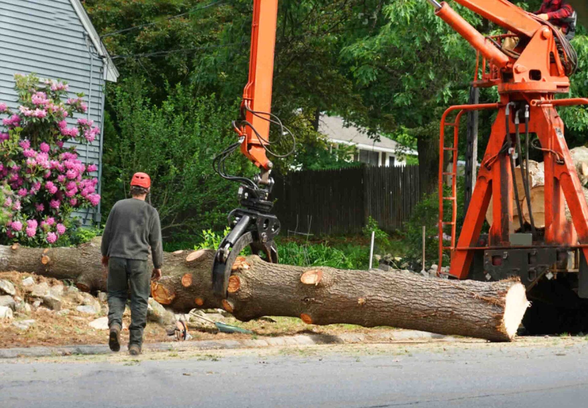 Large crane removing a tree from a property.  And man in a safety had and grey clothes supervises the situation.