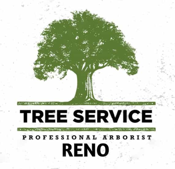 The Tree Service Reno Logo - A picture of a strong green tree on a white marble background