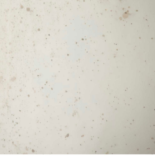 Off-white background with scattered brown spots, creating a distressed or aged appearance.