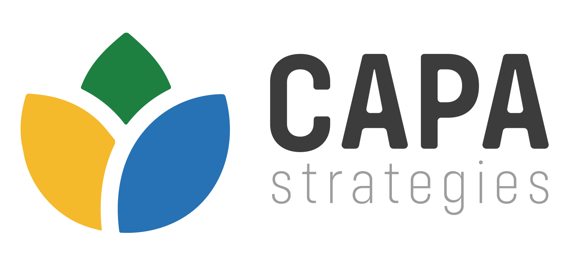 Our Team | CAPA Strategies
