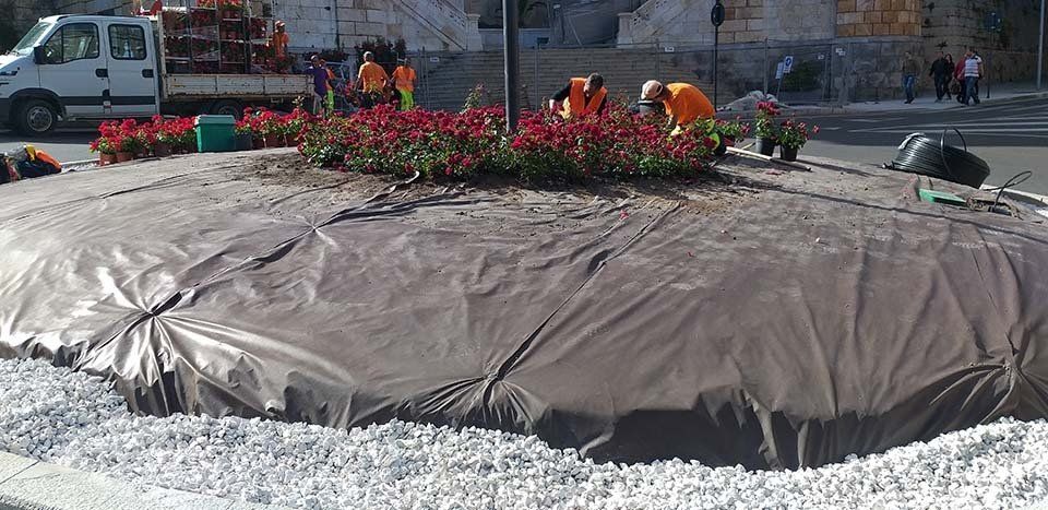 piantumazione area urbana