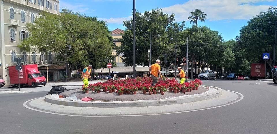 manutenzione aiuola pubblica