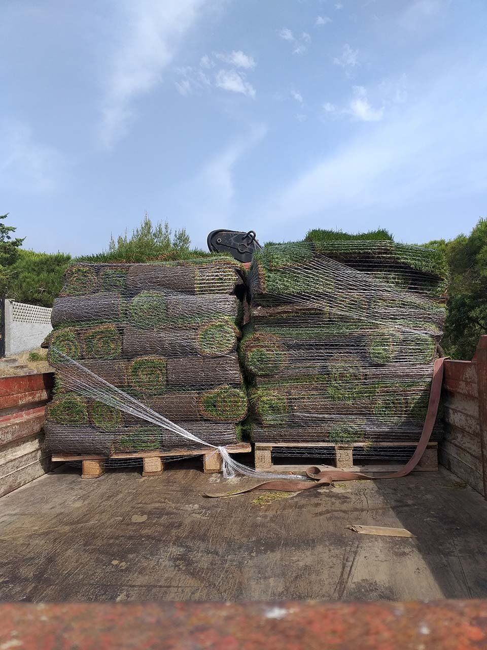 rotoli di prato da stendere