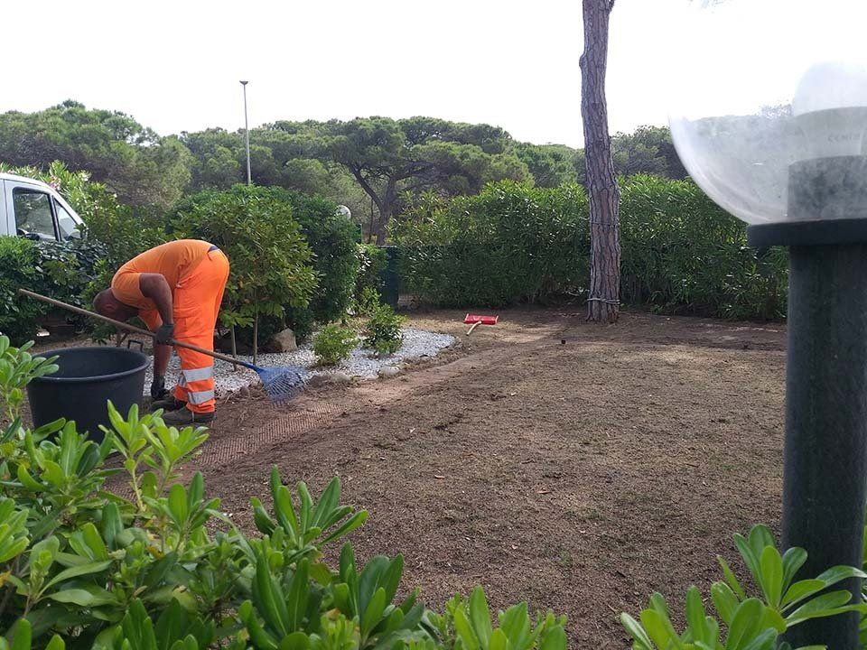 manutenzione aiuole giardino