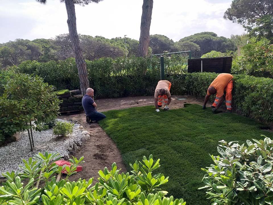 operai sistemano giardino
