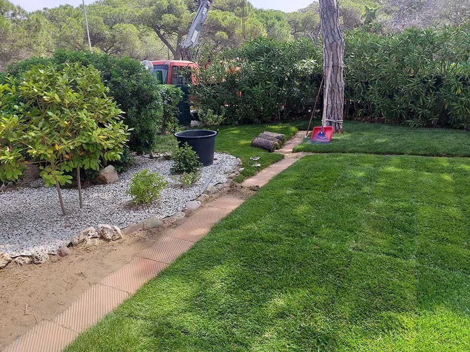 giardino privato con siepi