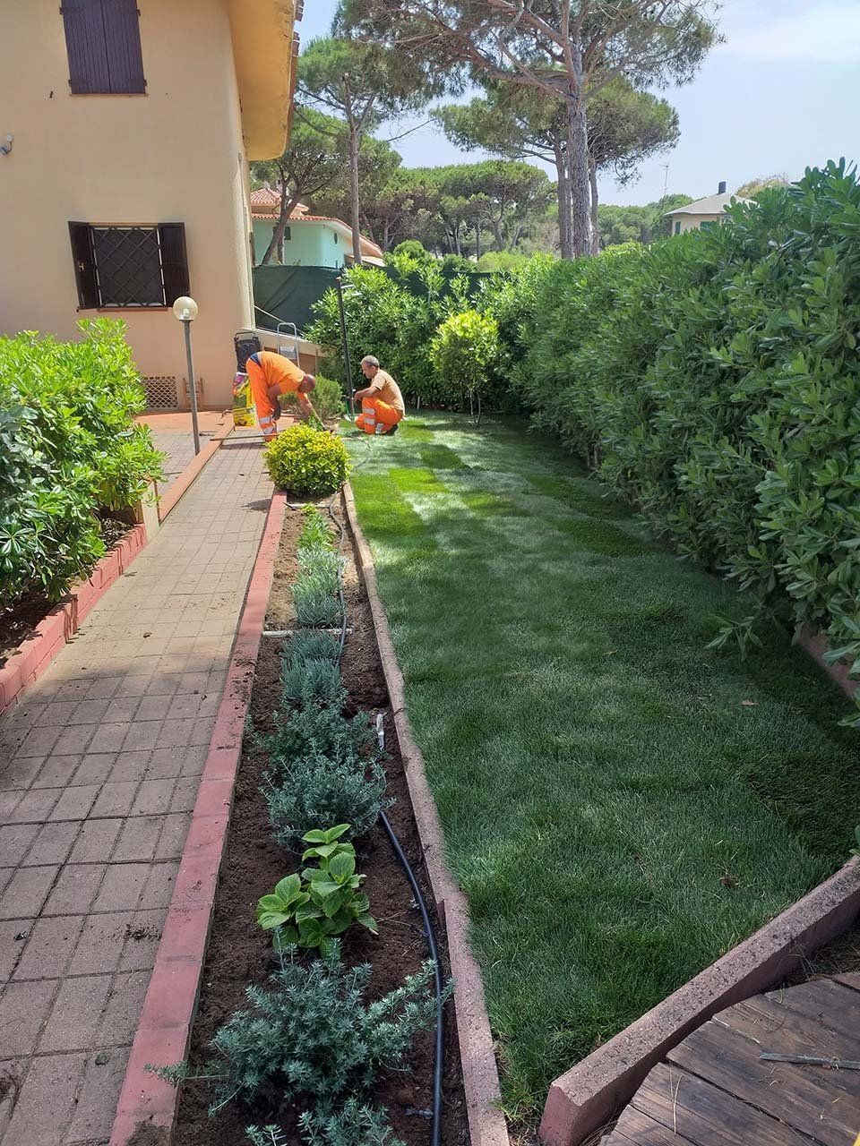 villetta con siepi e prato