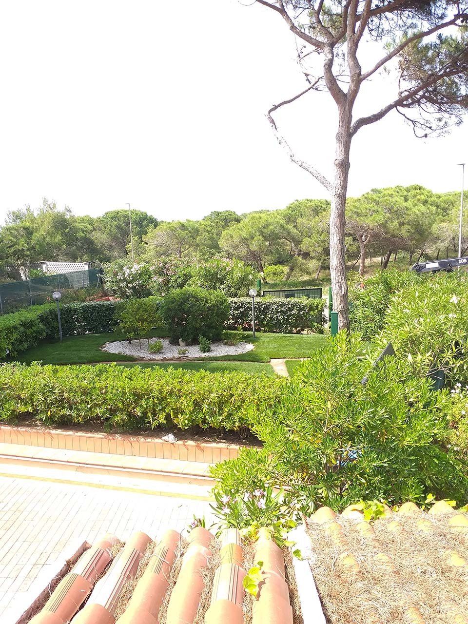 area verde con siepi