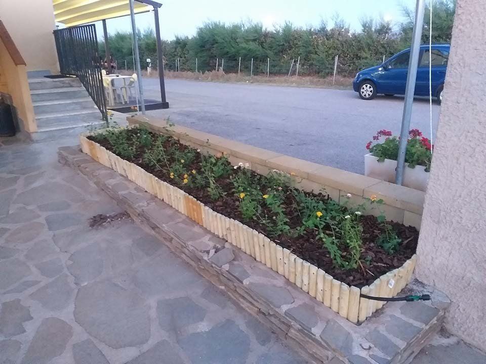 aiuola con piantine curate