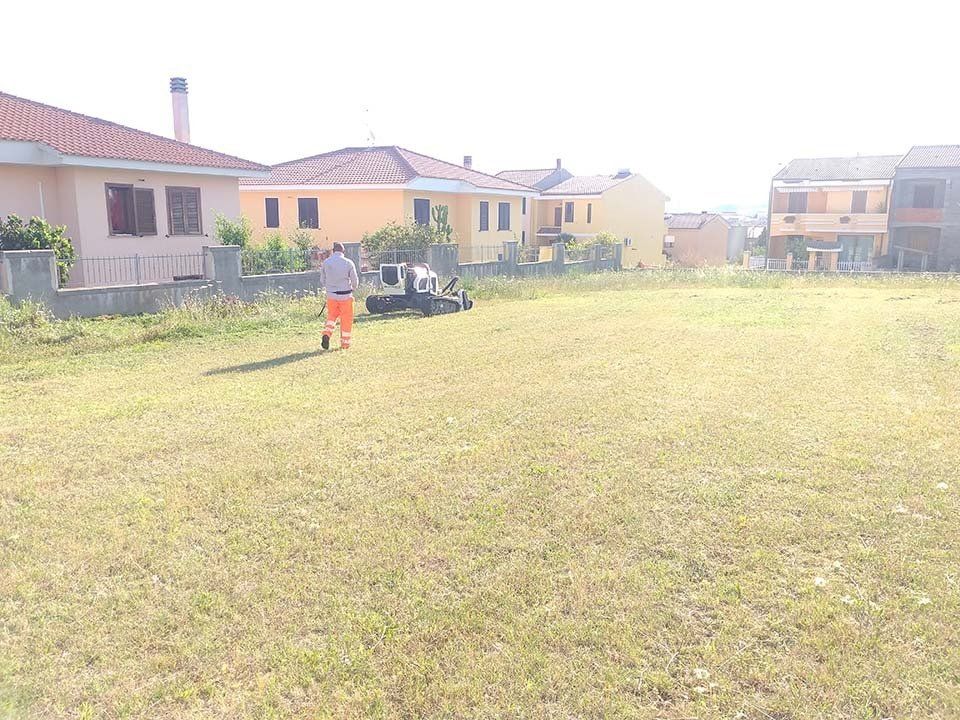 tosatura manto erboso