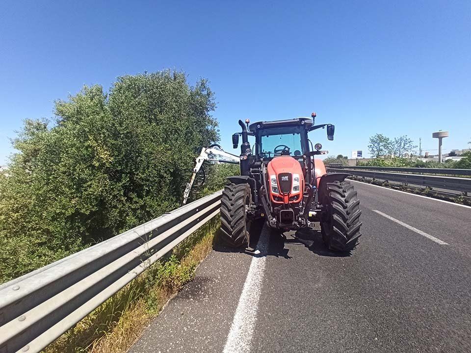 eliminazione erbacce lungo il ciglio della strada
