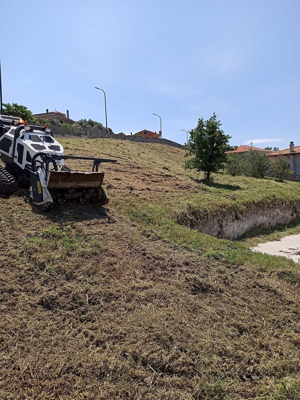 sradicamento erbacce