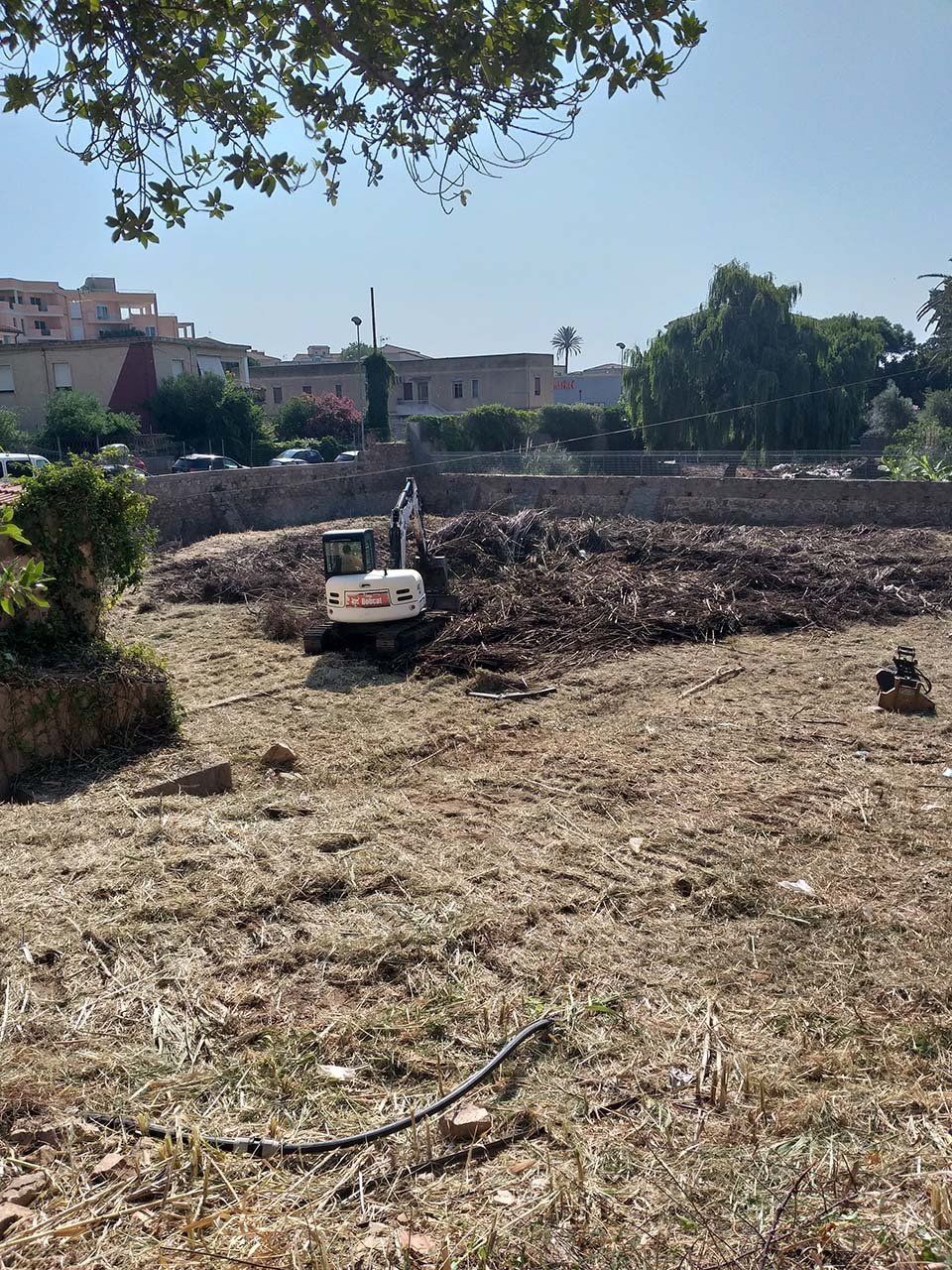 pacciamatura con scarto di potatura