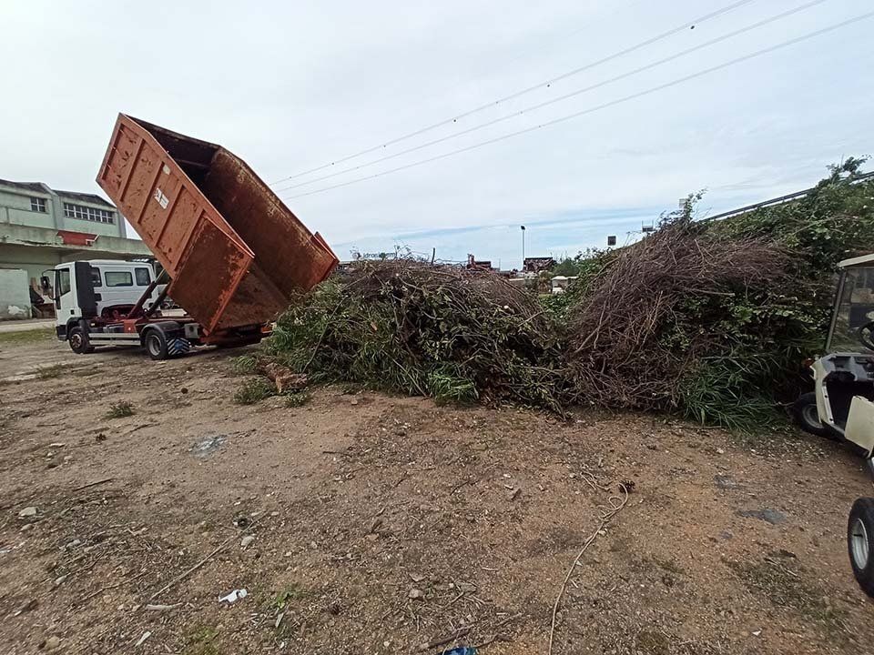 cassone scarrabile conferisce in discarica