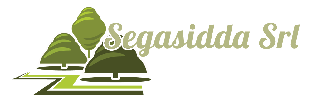 SEGASIDDA LOGO