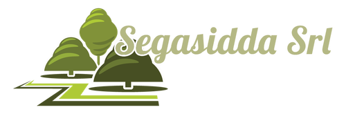 SEGASIDDA LOGO