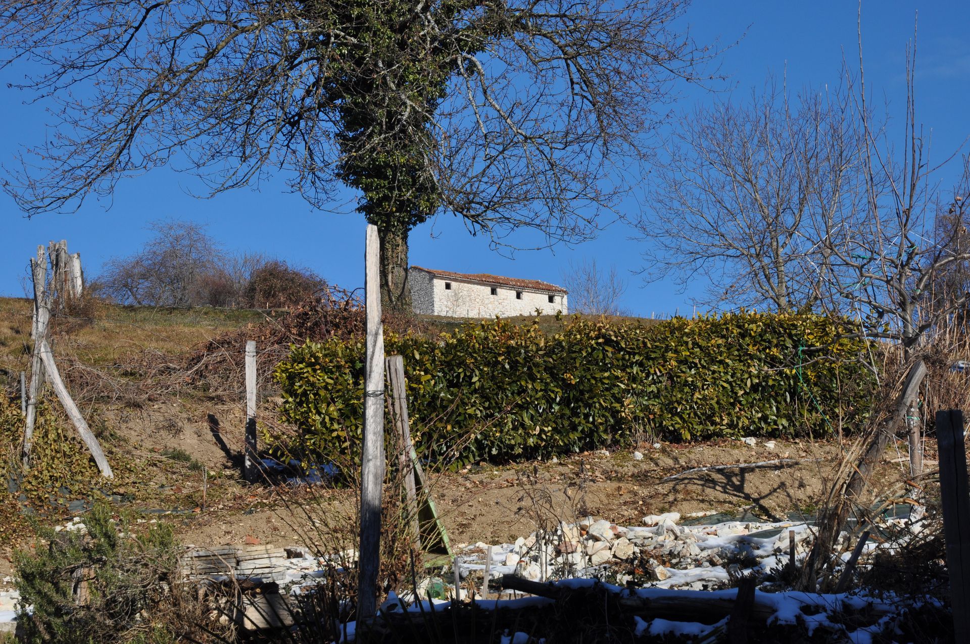 Veduta di un edificio in pietra in cima a una collina, con un albero spoglio e il terreno innevato in primo piano.