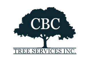 CBC Tree Service Walnut Creek