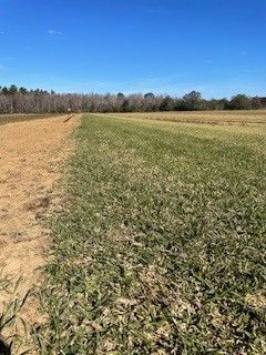 A field of grass and dirt with trees in the background on a sunny day.