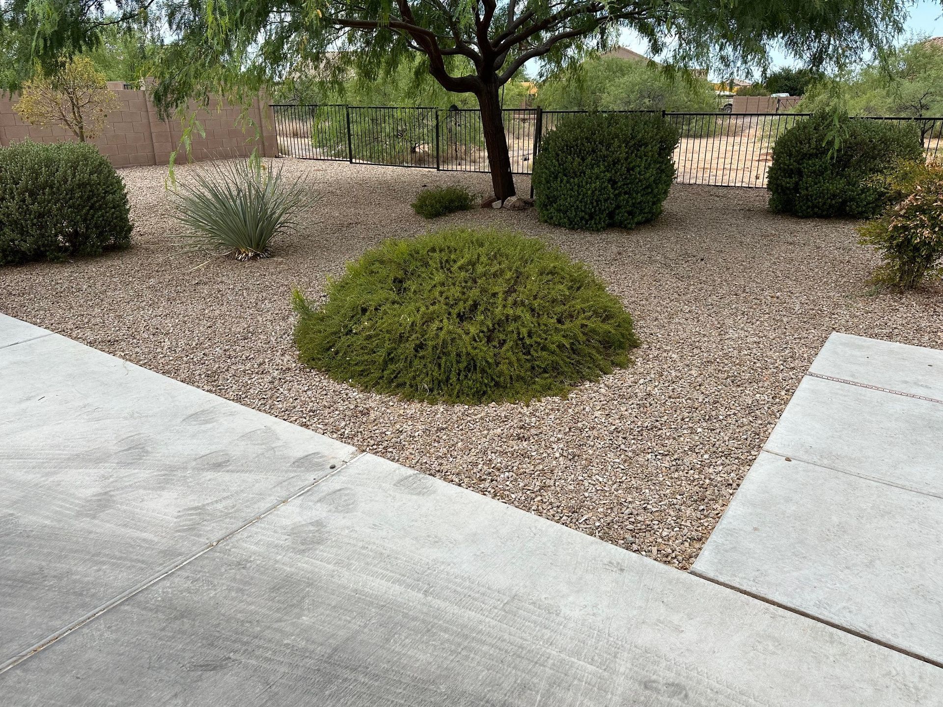 Garden with Iron Fence — Tucson, AZ — D Handyman LLC Rod Iron & Fencing Services