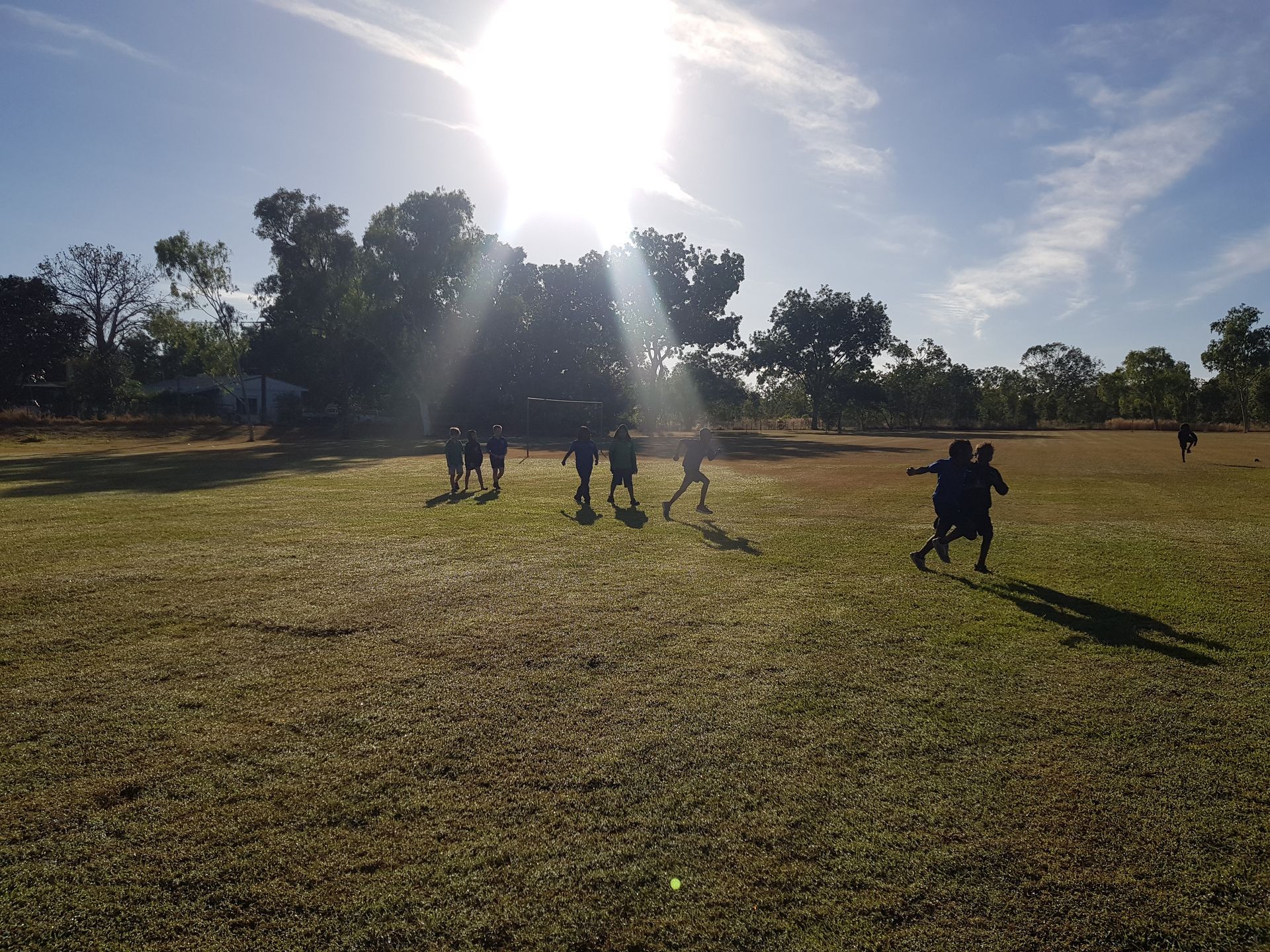 A group of people are running in a field with the sun shining through the trees.