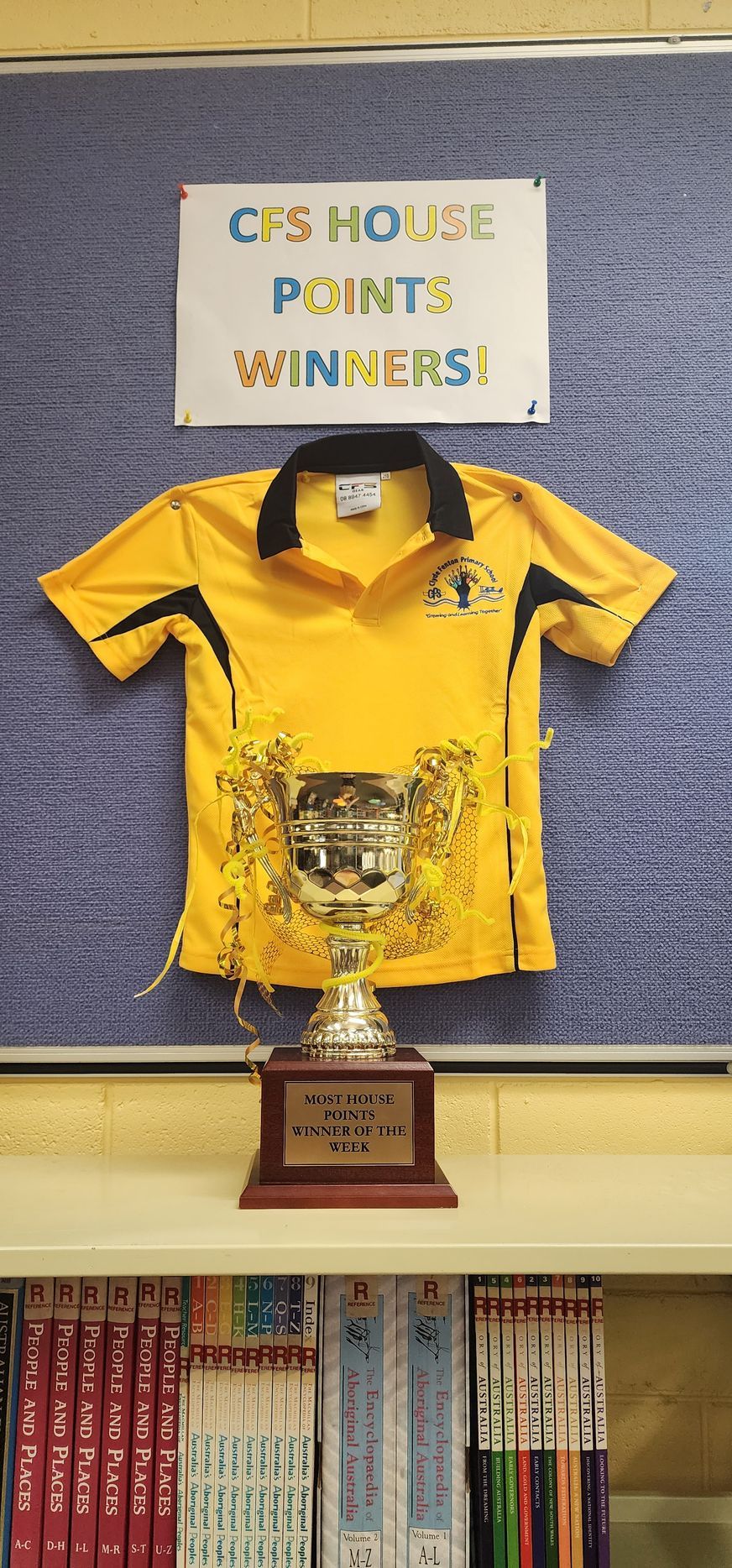 A yellow shirt is hanging on a wall next to a trophy.