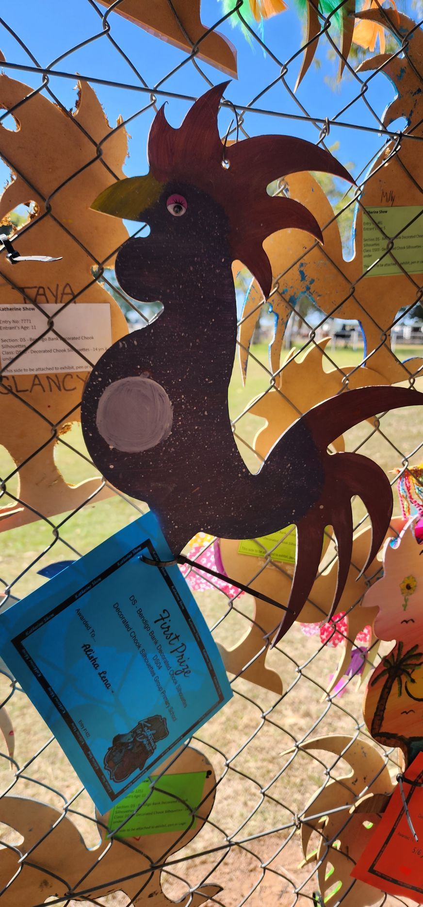 A rooster is hanging on a chain link fence with a certificate attached to it.
