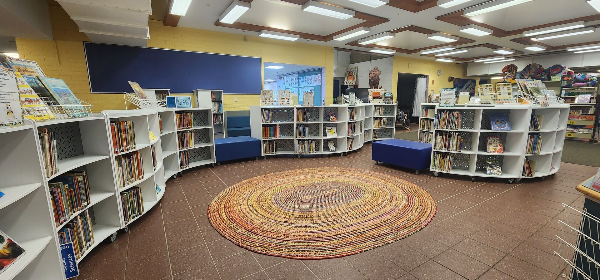 A library with lots of shelves and a rug in the middle.