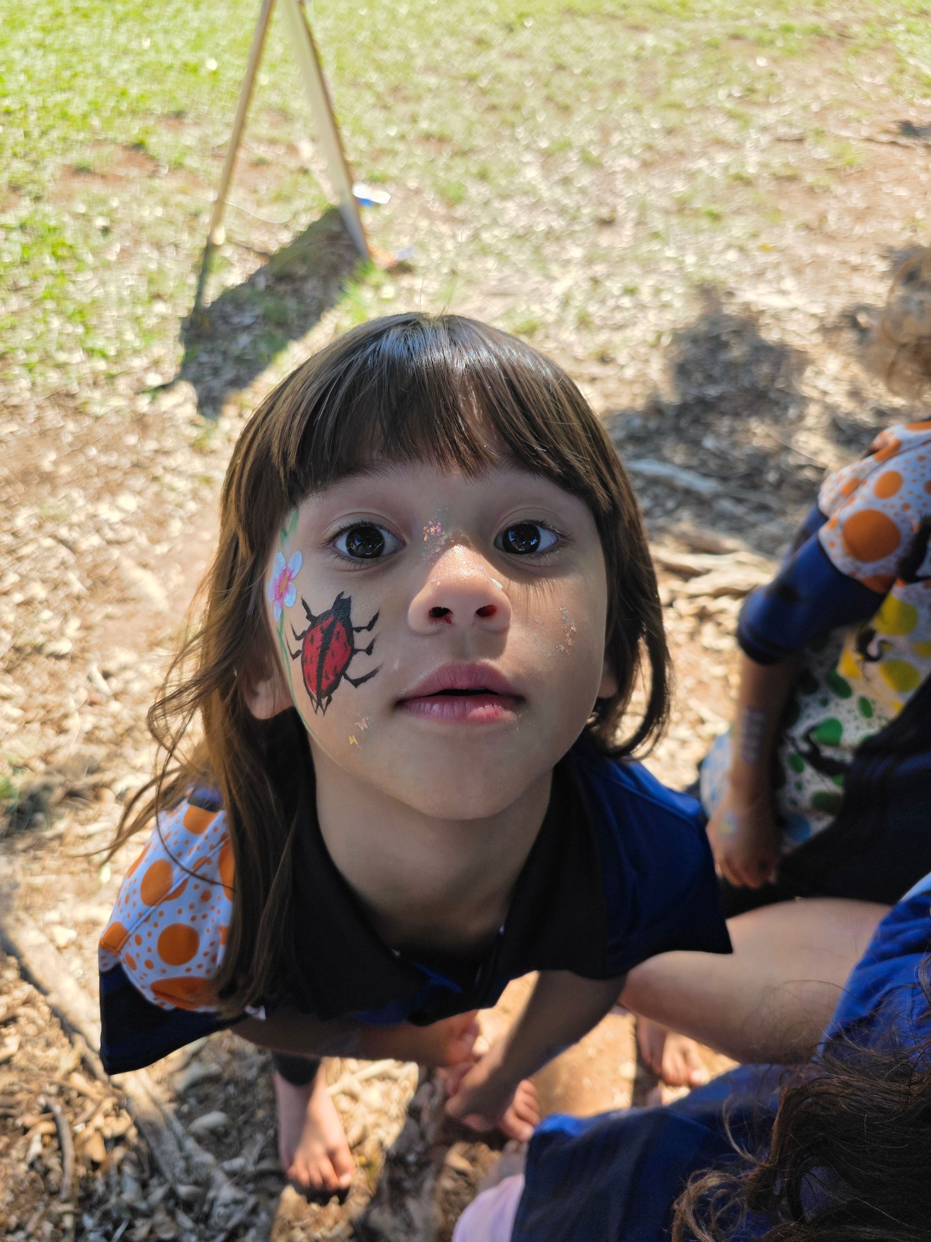 A little girl with a ladybug painted on her face.