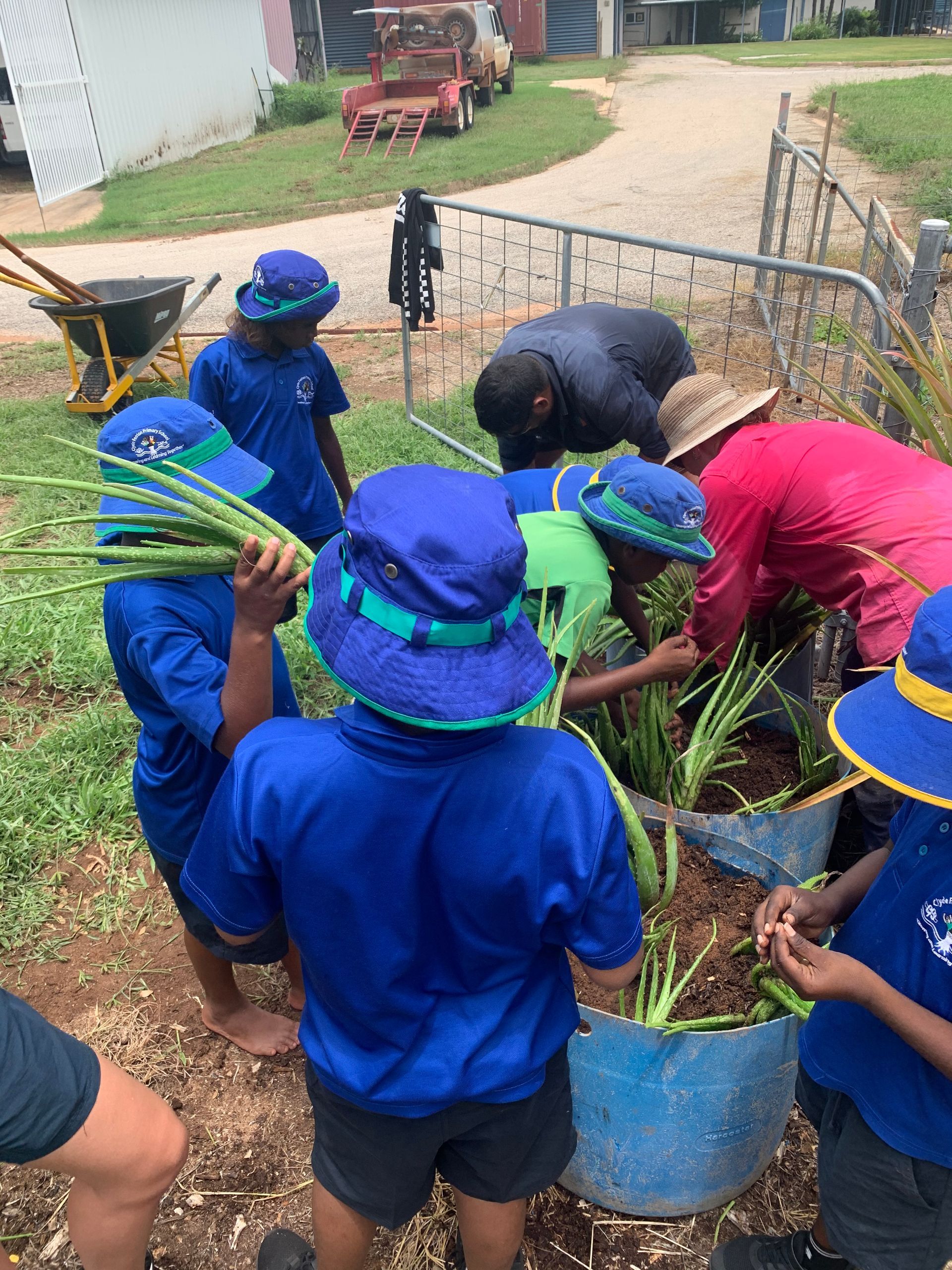 A group of people wearing blue hats are working in a garden.