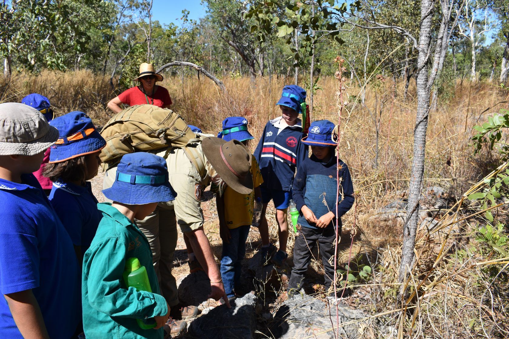 A group of children are standing in a field looking at a tree.