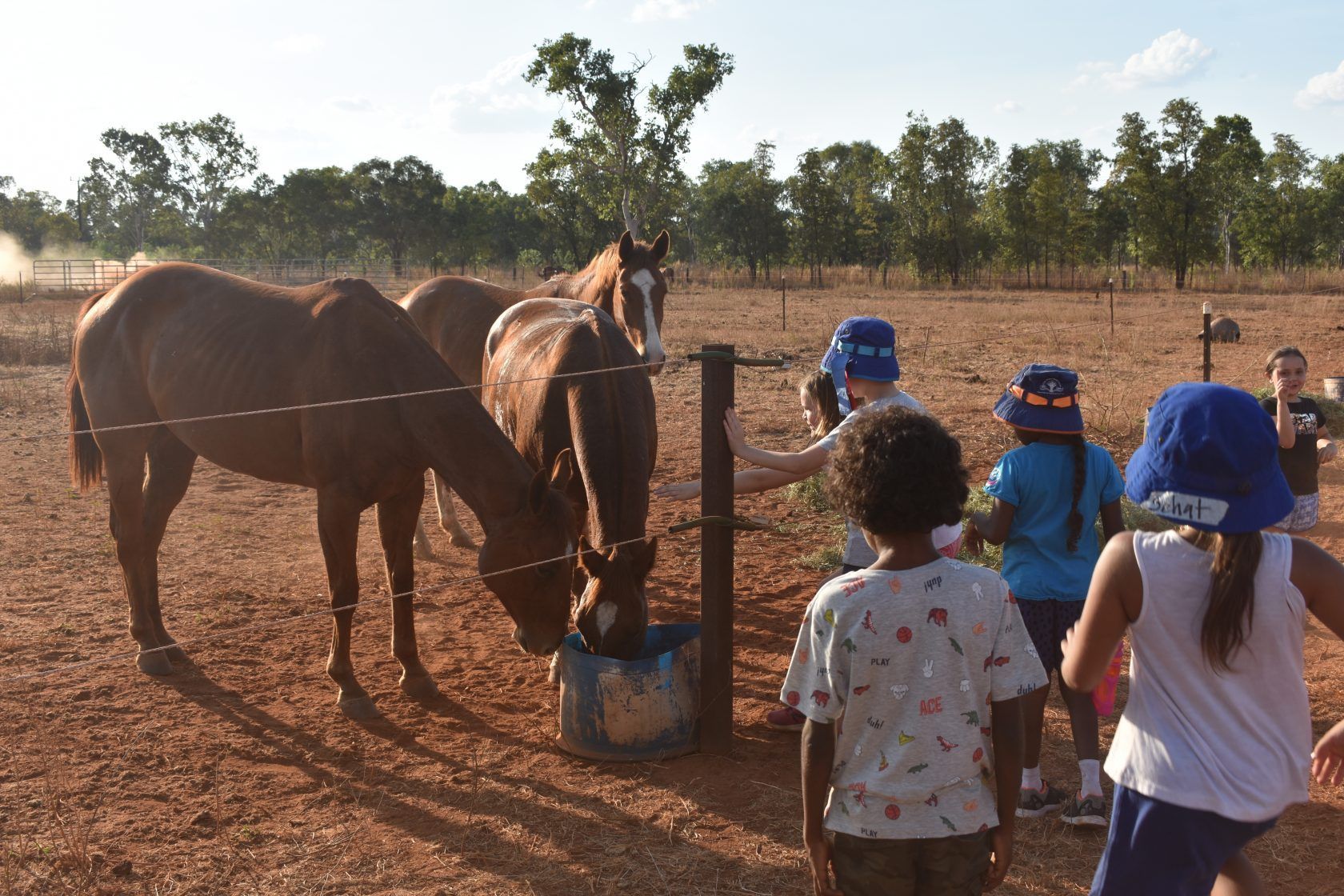 A group of children feeding horses in a dirt field
