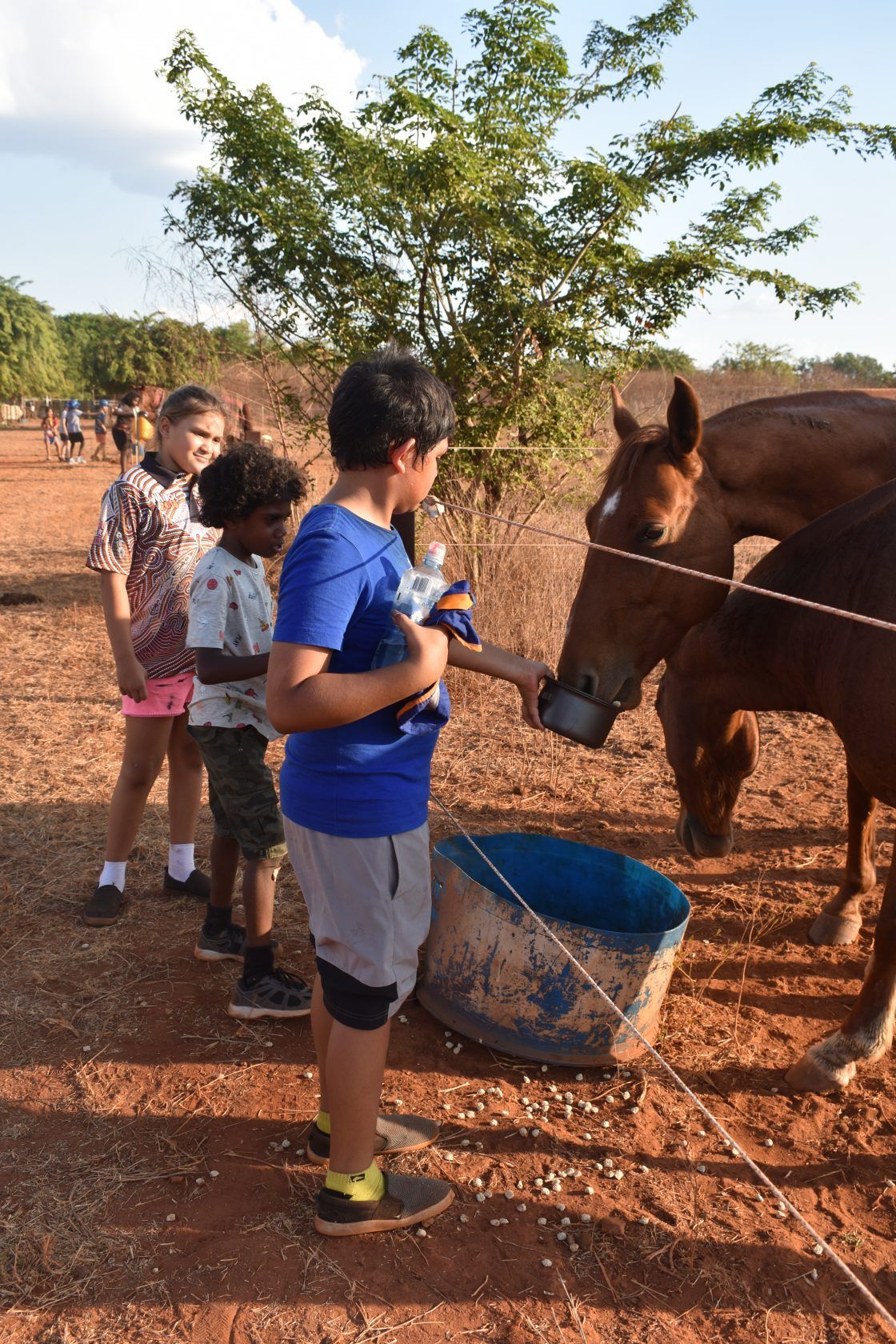 A group of children are feeding a horse in a dirt field.