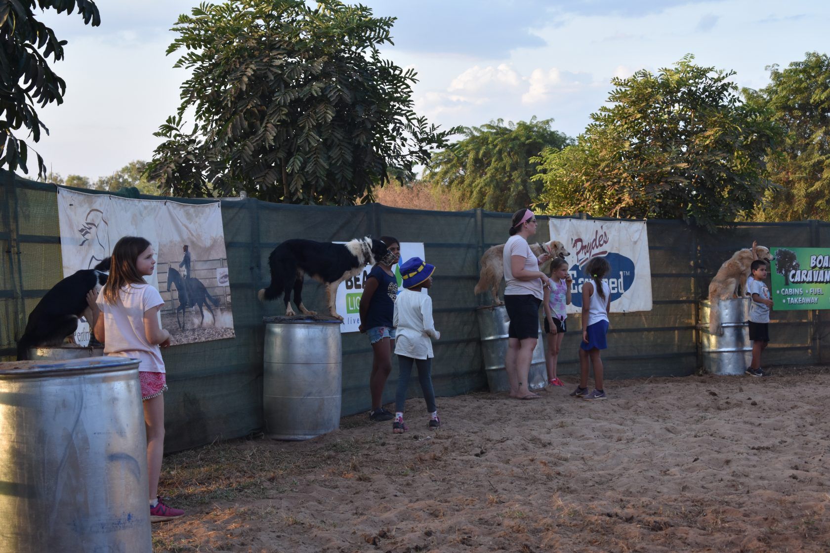 A group of people are standing around barrels with dogs standing on top of them.