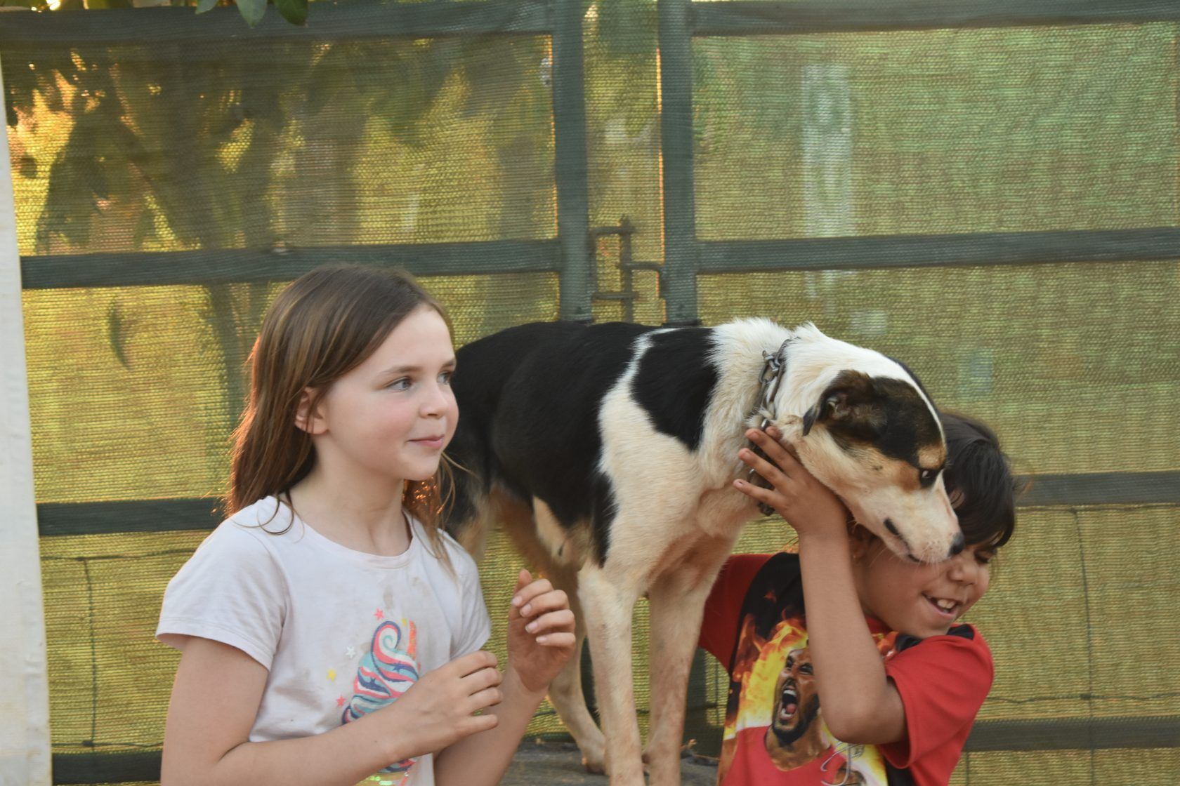 A boy and a girl are holding a black and white dog on their shoulders.
