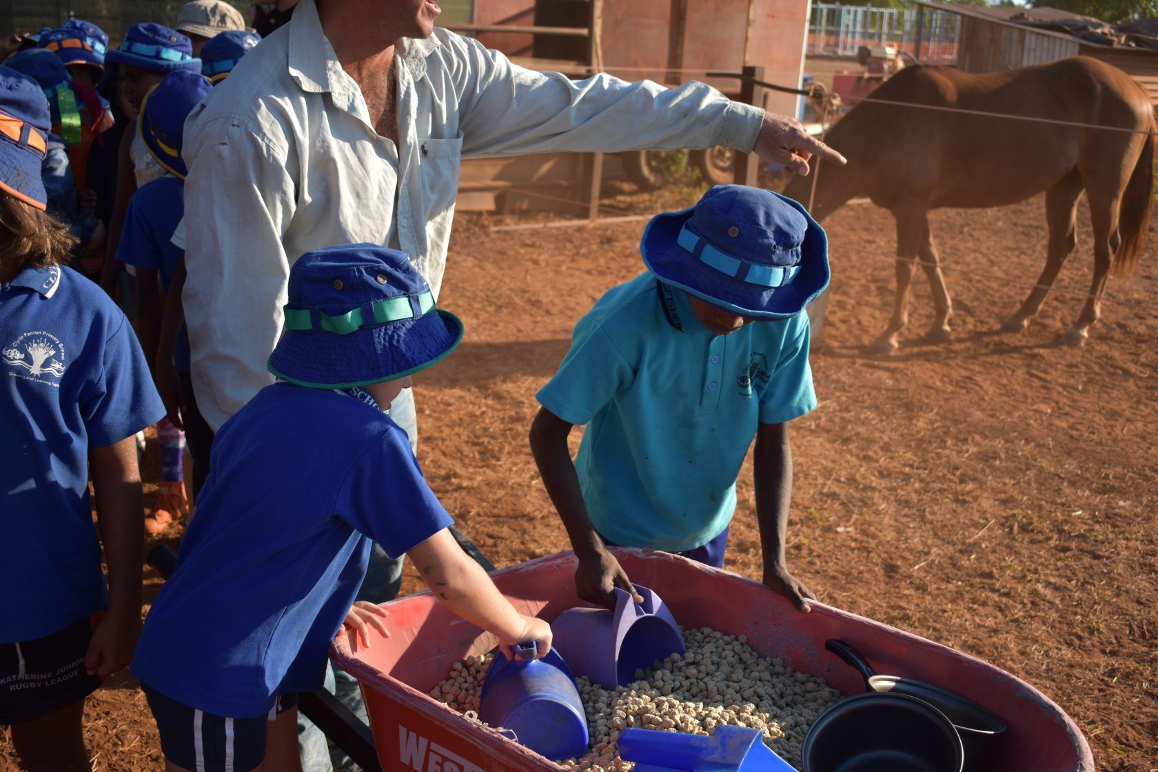 A group of children are standing around a wheelbarrow with a horse in the background.