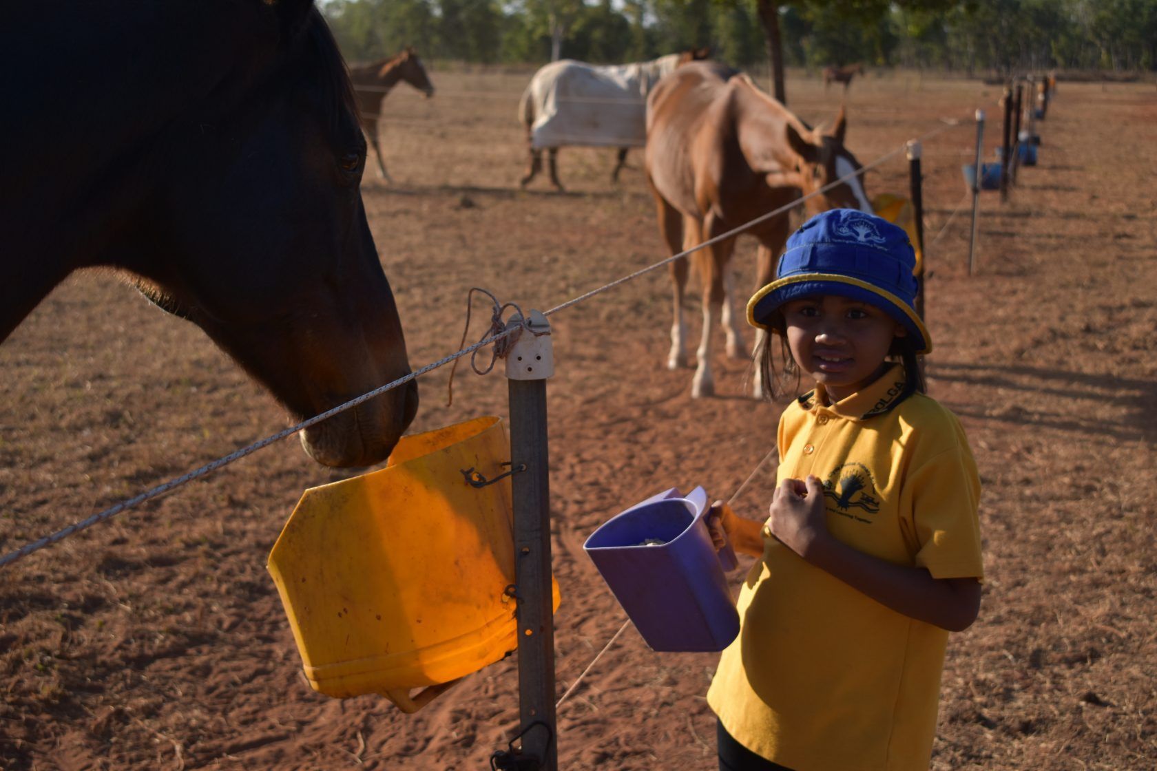 A young boy in a yellow shirt is feeding a horse with a bucket.