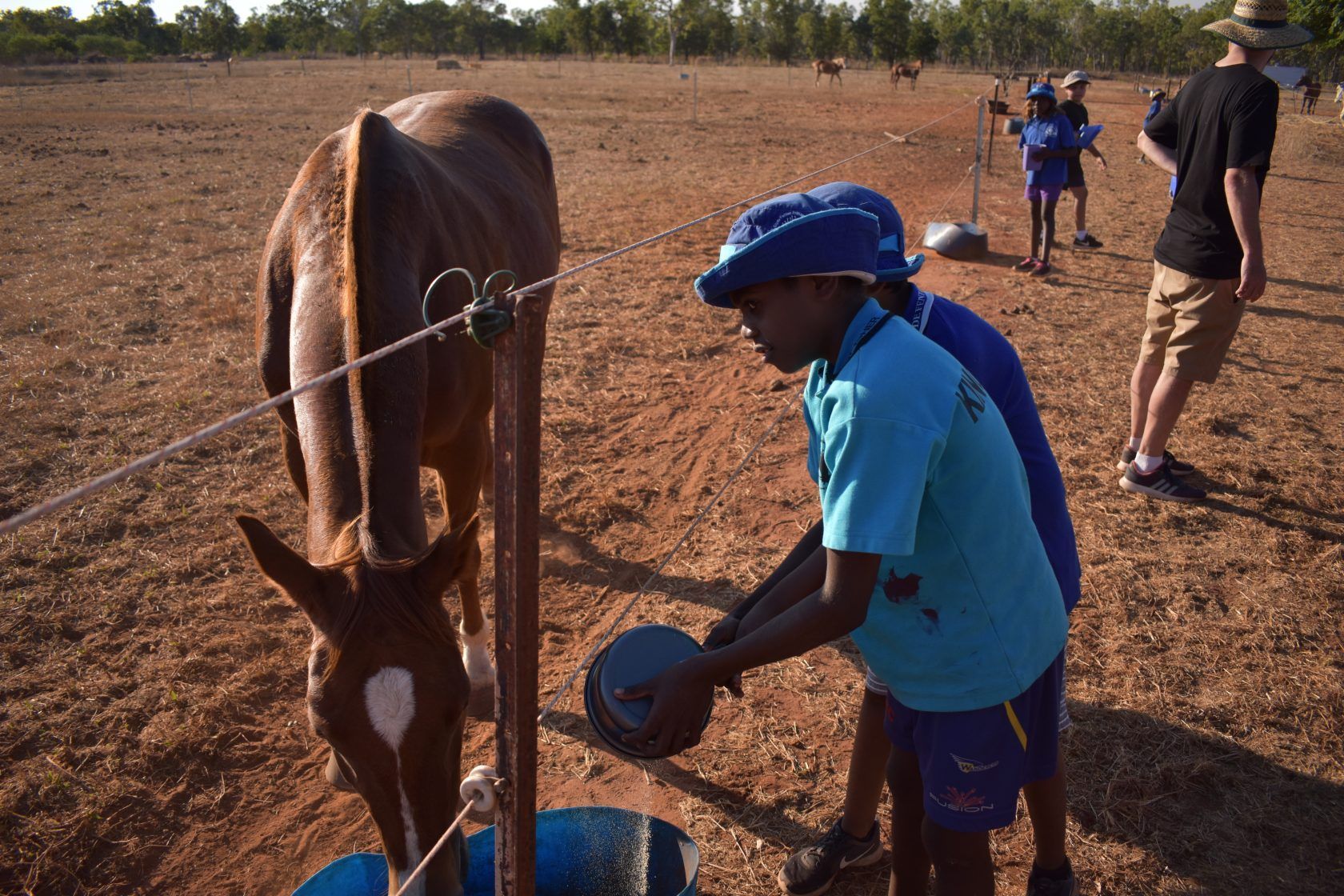 A boy in a blue shirt is feeding a horse