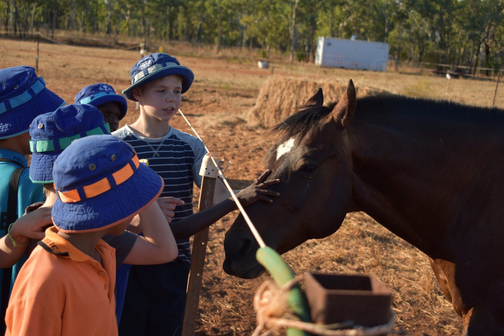 A group of children are standing around a horse.