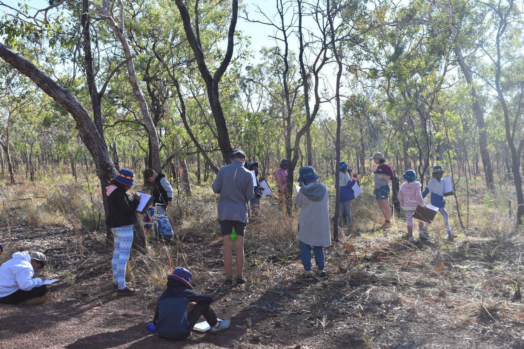 A group of people are standing in the middle of a forest.