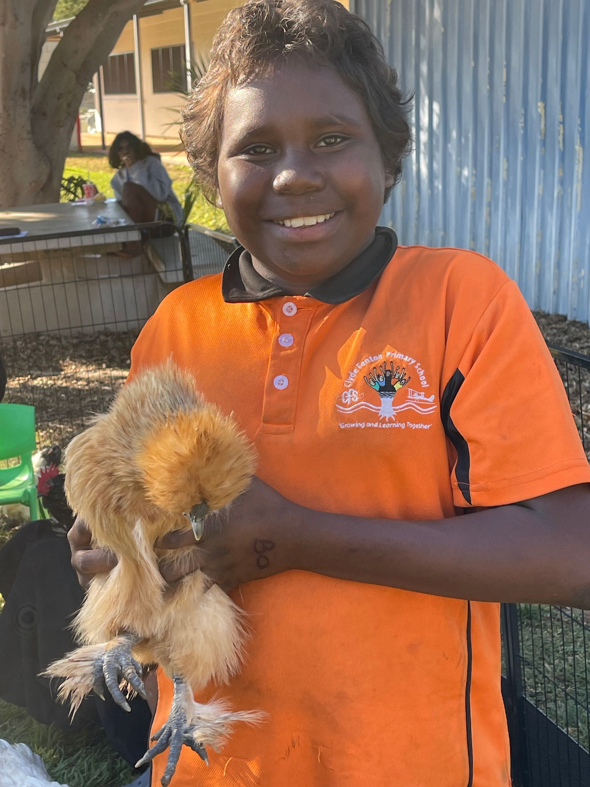 A young boy in an orange shirt is holding a chicken in his hands.