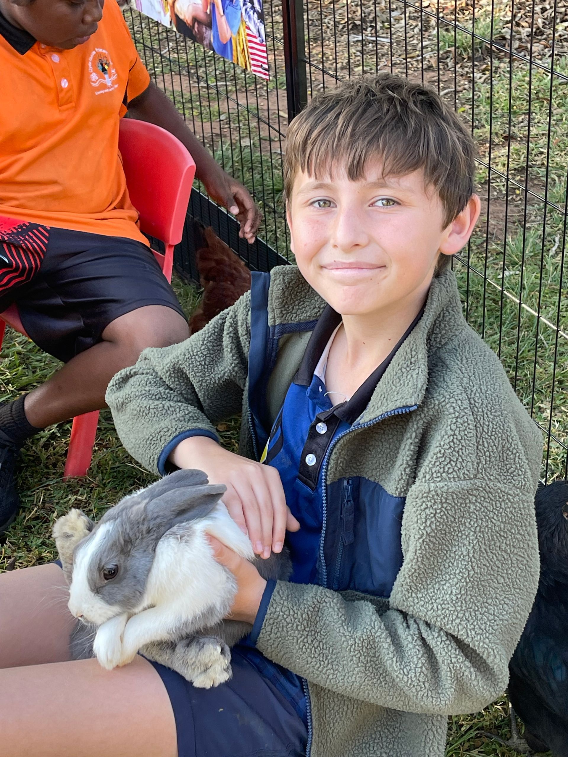 A young boy is holding a rabbit in his lap.