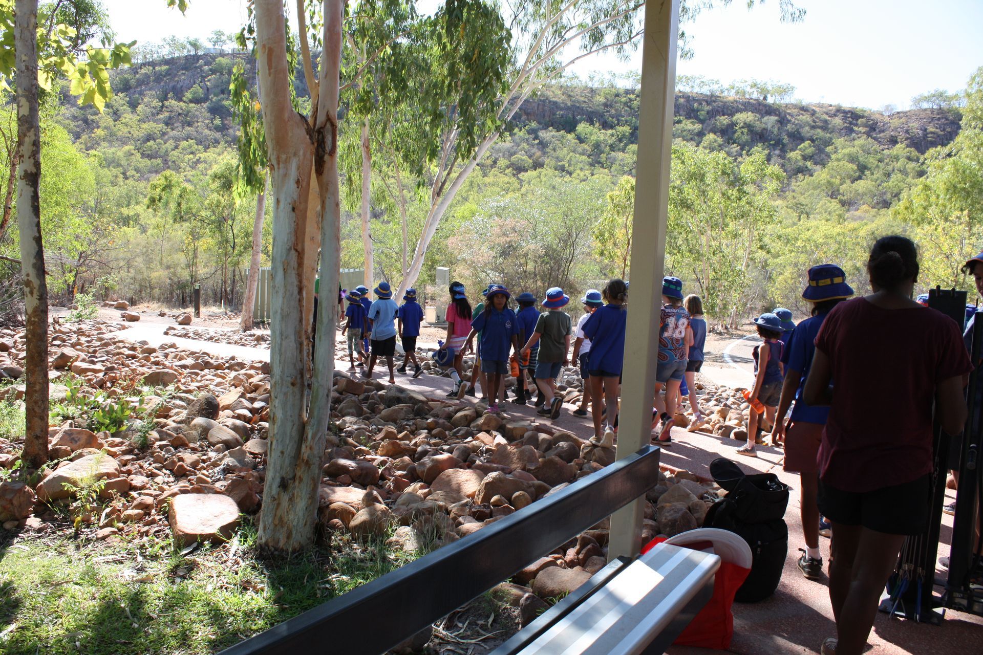 A group of people are standing on a path in the woods.