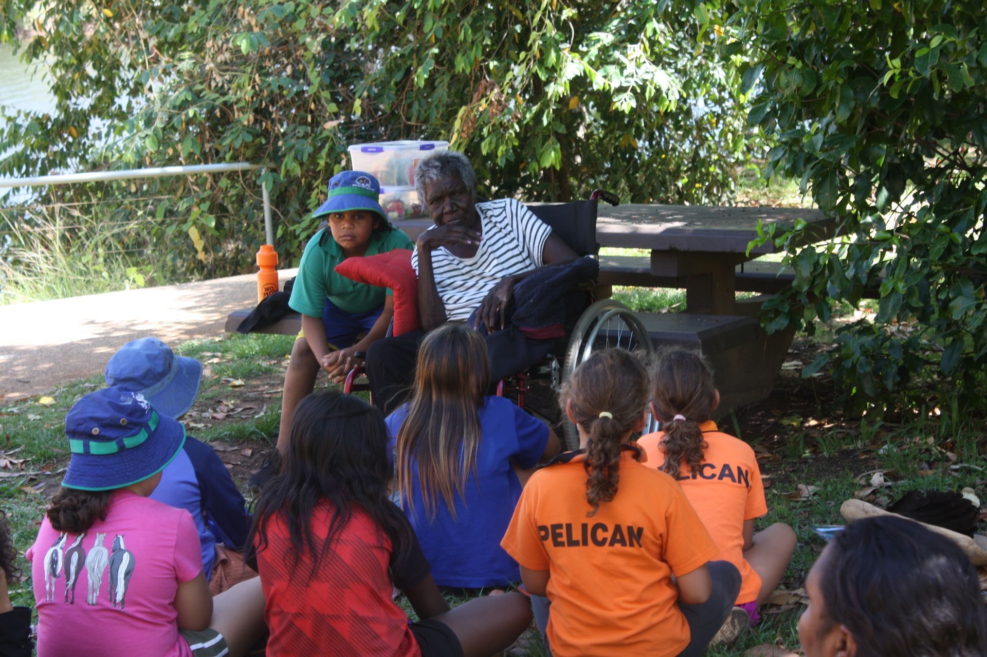 A group of children are sitting under a tree with a pelican shirt on