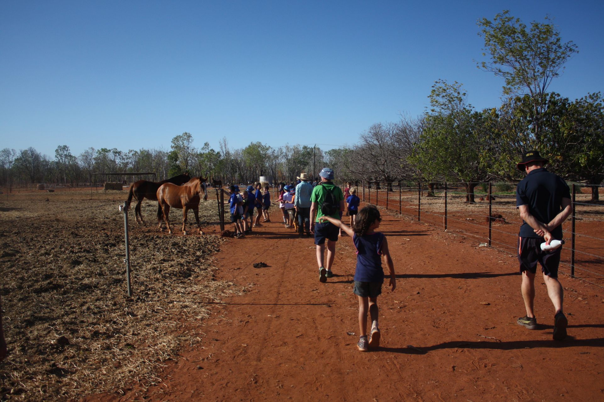 A group of people are walking down a dirt road with horses in the background.