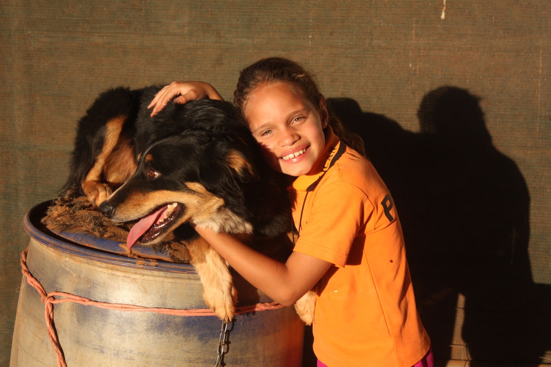 A little girl is petting a dog in a barrel