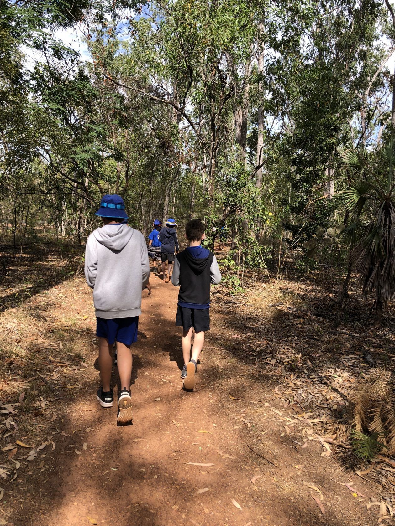 A group of children are walking down a dirt path in the woods.