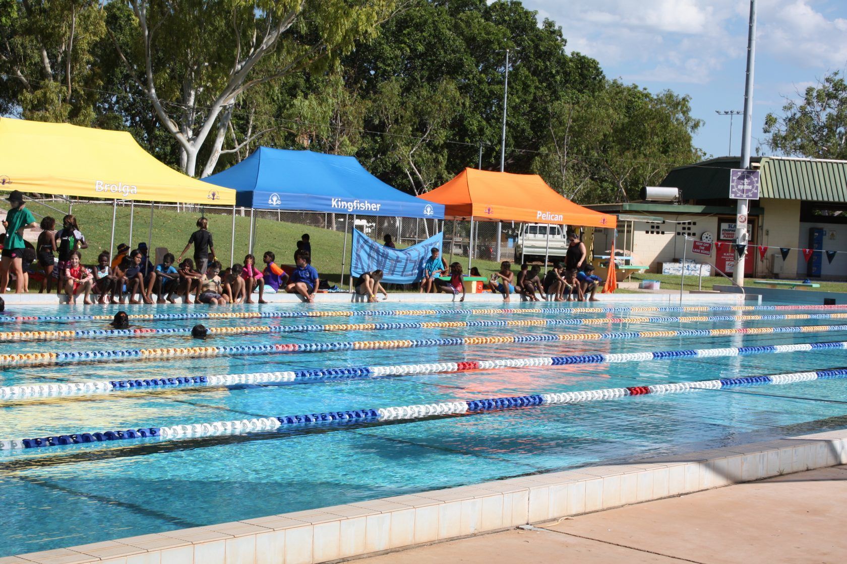 A group of people are standing around a swimming pool.