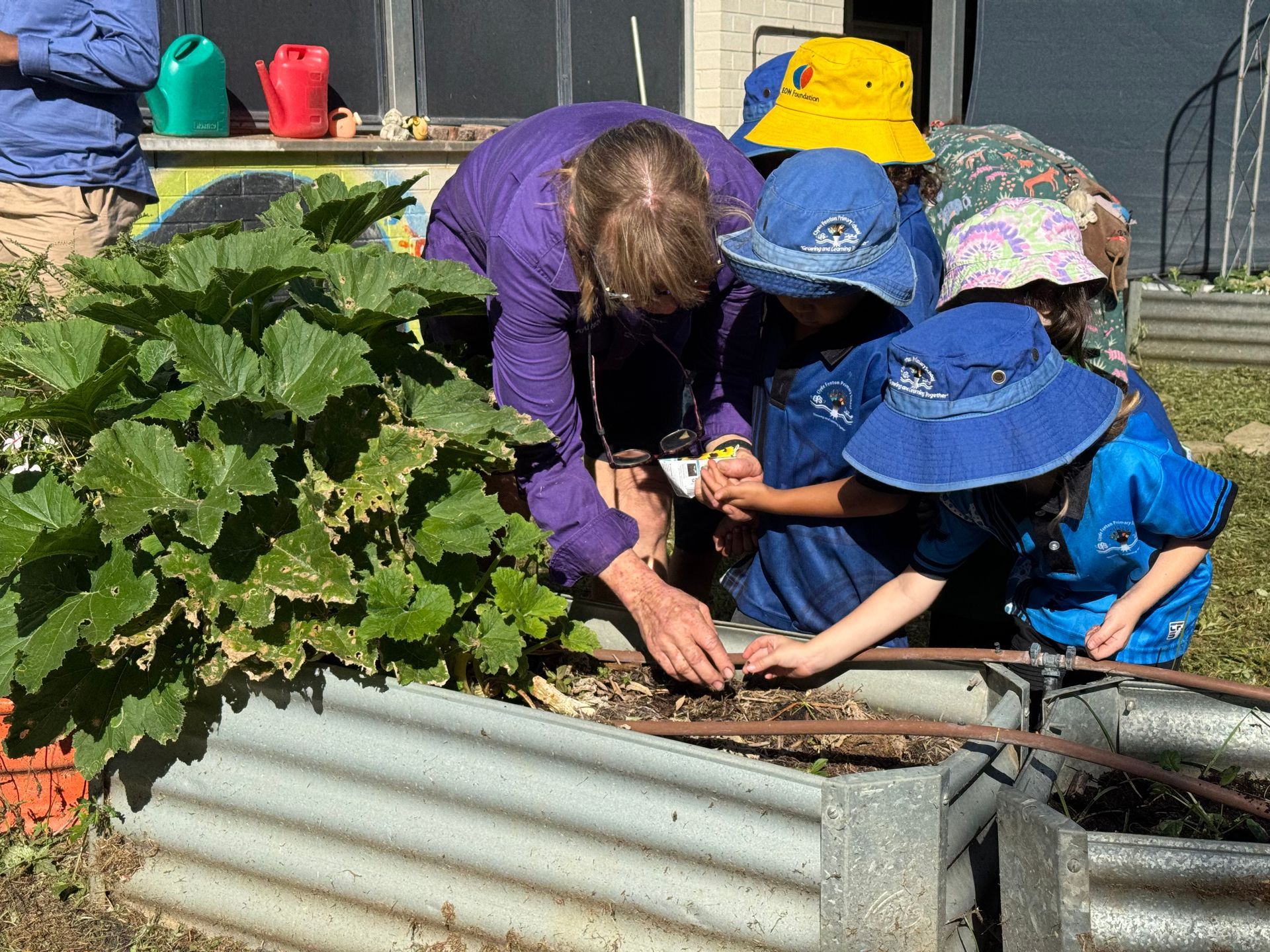 A group of children are working in a garden with a woman.