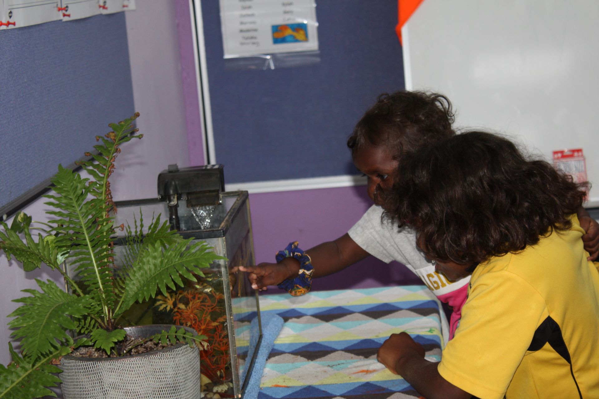 Two children are looking at a fish tank in a room